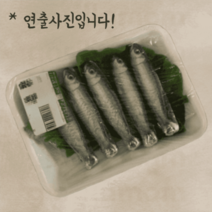 필레 드 사르딘느 정어리모양 초콜릿 망타입 90g 유튜브 틱톡 특이한 선물, 필레 드 사르딘느 정어리모양 초콜릿 망타입 9, 9개