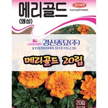 메리골드 씨앗 20립 당일발송 경신종묘