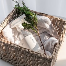 편백스프레이 편백수 효능 새가구 페인트 냄세제거 침구소독 피톤치드 탈취제 스프레이, 1+1