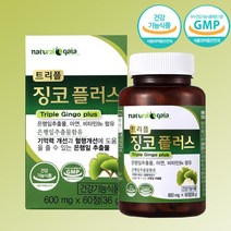 트리플 징코 플러스 2개월분 은행잎 추출물 아연 비타민B6 혈행개선 기억력개선 영양제, 단품, 단품