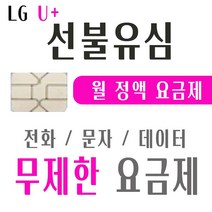 ]2022년 마지막행사[ LGU+선불폰 무제한 요금제 선불유심 유심개통 국내전용상품, 30일