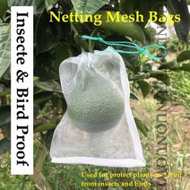 블루베리 방조망 고추 그물망 호박 오이 참외 보호망 40mesh 과일 가방 곤충 새 증거 야채 포도 사과 가방 해충 제어 졸라매는 끈 나일론 메쉬, 35x25cm