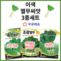 이색 열무씨앗 3종 세트 고온기 여름용 흑선열무 MS채종 환엽계 조광열무 전라도 향단이 열무
