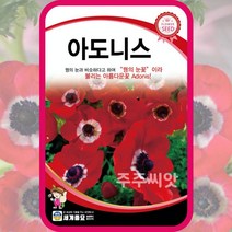 아도니스 씨앗 복수초 종자 150립 꽃씨 꽃씨몰 눈새기꽃 설련화 꽃 씨앗, 단품