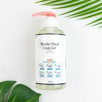 원더핸드 후레쉬겔 500ml 손소독제 손세정제, 1개