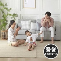 [모비딕컴퍼니] 대자리카페트 자리 여름카페트 여름자리 거실대자리 나무카페트 거실매트, 잇★ 먼지없는 자가드 카페트매트 평직 거실러그 중형, 잇★ 그레이