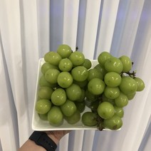 바르다과일 달콤한 샤인머스캣 1box(2kg) 3~5수 내외 샤인머스켓, 일반용, 1box