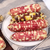 쫀득쫀득 삶은 찰옥수수 20개/30개, 01. 삶은 찰옥수수(얼룩이) 15개, 상세설명 참조