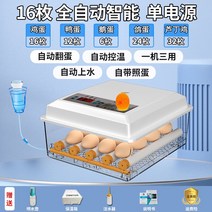 병아리 부화기 온도 자동 조류 대형 체험 학습장 다층, 16개 전자동 싱글배터리 부화기