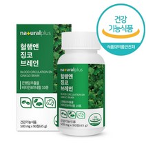 혈행 징코 브레인 90정 식약처 인증 식약청 정타입, 2개