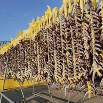 [정가네수산] 속초 산지직송 생물 양미리 1kg (30미 내외) 반건조 양미리 1두름(20미), 반건조 양미리 4두름