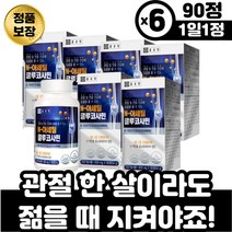 부모님 연골 무릎 관절 영양제 무릎에좋은 엠에스엠 노인 할머니 중년 장년 뼈건강 영양제 식약처 기능성 인정 식이유황 관절뻣뻣함 해조분말 키틴 효소분해 무릎 시림 관절 소리