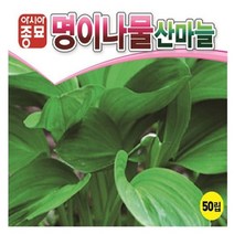 명이나물씨앗산마늘씨앗 명이나물-산마늘(50립), 1개