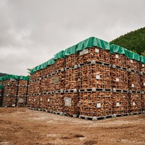 [장박용] 캠핑장작 태백골 참나무장작 캠핑용 불멍 장작 10Kg, 10박스