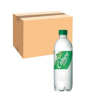 롯데칠성 칠성사이다 500ml x 20개