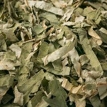 신토불이 국산 약초 하엽(연잎) 600g, 12YI_국산하엽(연잎)600g