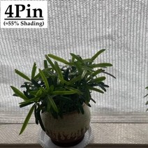 그늘막 40 55 차광 흰색 HDPE 자외선 방지 차양 그물 전망대 쉼터 야외 농업 정원 다육 식물 커버, 4Pin White+2mx2.5m