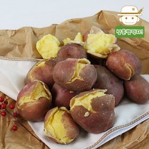 창원 모래밭에서 키워낸 포슬포슬 붉은 홍감자(특대) 5kg, 단품