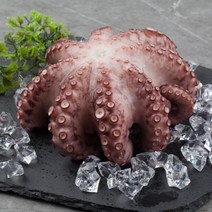 제수용 문어 한마리 1kg 1.5kg 2kg 3kg 자숙문어 삶은 데친 돌문어 문어숙회, 1kg(1마리), 1마리