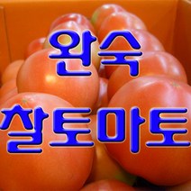 과일몰 고당도 완숙 찰 토마토 5kg 10kg 대용량, 1box, 쥬스용 못난이 중과 5kg