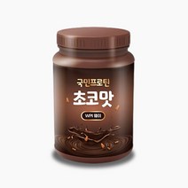 국민프로틴 분리유청단백질 WPI 단백질보충제 유당불내증프로틴 헬스보충제 아이솔레이트 웨이프로틴 식사대용 초코맛, 초코맛 WPI 1KG