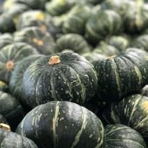 직수입 뉴질랜드 단호박 5kg 10kg, 실속형(못난이) 단호박 M 10kg (5~7과)
