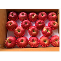 청송 홍로사과 (가정용흠과 5kg / 특품 5kg), 정품 중과 20과내