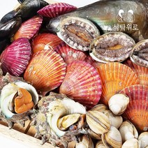 [식탁위로] 제철 모듬조개 2kg 캠핑 조개구이 조개찜, 1개