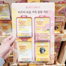 버츠비 보습 가득 립밥 세트 4.25g X 5개입, 단품, 단품