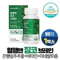 징코 브레인 은행잎 추출물 GINKGO 플라보놀배당체 36mg 기억력개선 혈행개선 도움 비타민 아미노산 함유, 1개, 90정