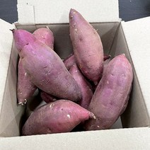 세척된 특상 꿀고구마(바베큐용 다이어트용), 2kg