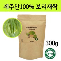 새싹 보리순 분말 국산 보리새싹 뿌리 가루 파우더 차 어린잎 착즙 푸른보리 클렌즈 폴리코사놀 사포나린 내장지방 독소빼는 중금속없는 간헐적 단식 효능 먹는법, 300g, 1봉