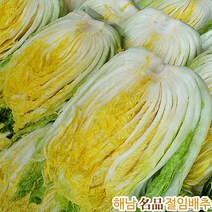 명품해남 절임배추20kg (대장균걱정안심 해수절임배추 국내산천일염), 01월09일(월)도착, 20kg