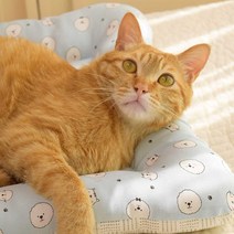 마벨러스홈데코 여름 풍기 인견 강아지 고양이 방석 애견 쿠션 켄넬 사각 쿠션 개방석, 러블리 하트