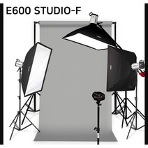 [다복점빵] 포멕스 사진조명 스튜디오 촬영 세트 (E600 STUDIO-F) 이동형 배경시스템 (배경지135cm 그레이) 쇼핑몰 의류 패션 피팅 인물 프로필 추천