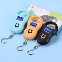 용수철저울 저울계 무게추 전자 저울 도매 미니 휴대용 휴대용 저울 전자 무게 저울 작은 음식 스프링 수하, 02 파란_01 50kg