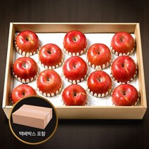 참다올 장수사과선물세트 5kg(13-14과내), 1개