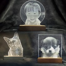 Hucat 주문 제작 아크릴 무드등 - 강아지 고양이 사진 레이저 각인 15cm대형, C타입(자유형)