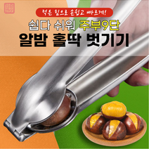 밤 까는 기계 생밤 커팅 칼집 가위 군밤만들기, 1개