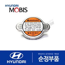 투스카니 순정 라디에이터 캡 뚜껑 (2001-2006.09)