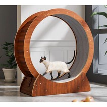 Dorcot 고양이 캣휠 무소음 반려동물 운동 캣워크, L