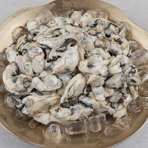 당일채취 당일발송 통영굴 깐굴 반각굴 석화 5kg 10kg