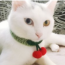 DOG CAT 강아지 고양이 뜨개 케이프 체리 스카프 1P, 03케이프-화이트S