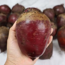 제주의 선물 무농약 제주 햇 비트 단비트 1박스, 레드비트 특 3kg 7과내외