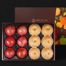 자연의감동 명품 사과 나주배 혼합과일 선물세트 5.5kg, 나주배 6과+사과 6과 6kg
