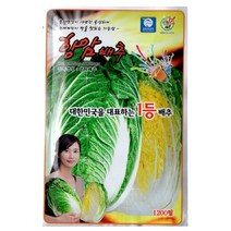 제일씨드바이오 항암배추씨앗(사은품증정), 600개입
