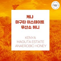 (커피생두) 56 케냐 마구타 이스테이트 무산소 허니 1kg, 1개