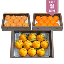 제주 한라봉선물세트2.5kg 중소과 외 천혜향/레드향선물세트/명절선물세트