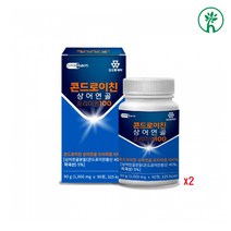 GS 콘드로이친 글루코사민 상어연골 어골칼슘 분말 가루 뮤코다당 폴리 감마 글루탐산 연골관리 복합식품 인체동일구조 저분자 피쉬콜라겐 펩타이드 단백질 부모님 무릎 관절 뼈 건강, 콘드로이친 2통