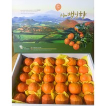 제주 카라향 선물용 5kg 10kg 고당도 서귀포 봄 귤 세진농원 사백일향, 사백일향(가정용) 3kg